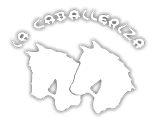 lacaballerizademalpartida.com